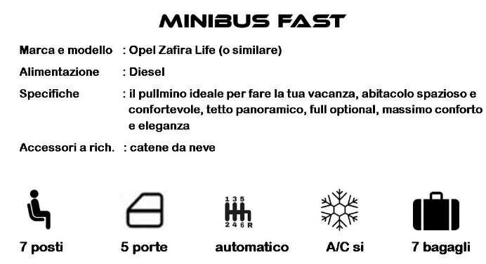 minibus e pullmini